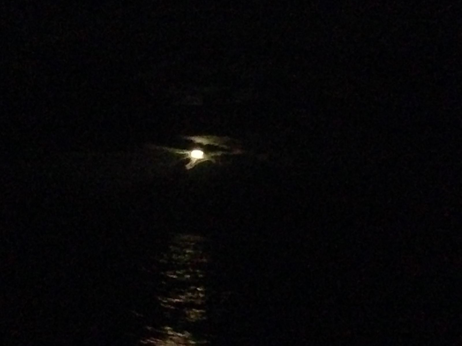 晨光海洋租ASA 104船巡航課程如期於6/18開課。